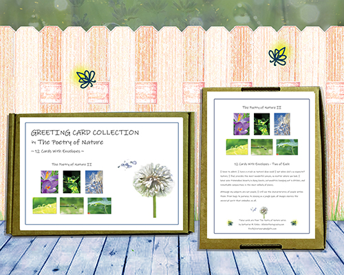 Poetry of Nature II Greeting Card Collection - peaceful, beautiful, nature zen cards with poems